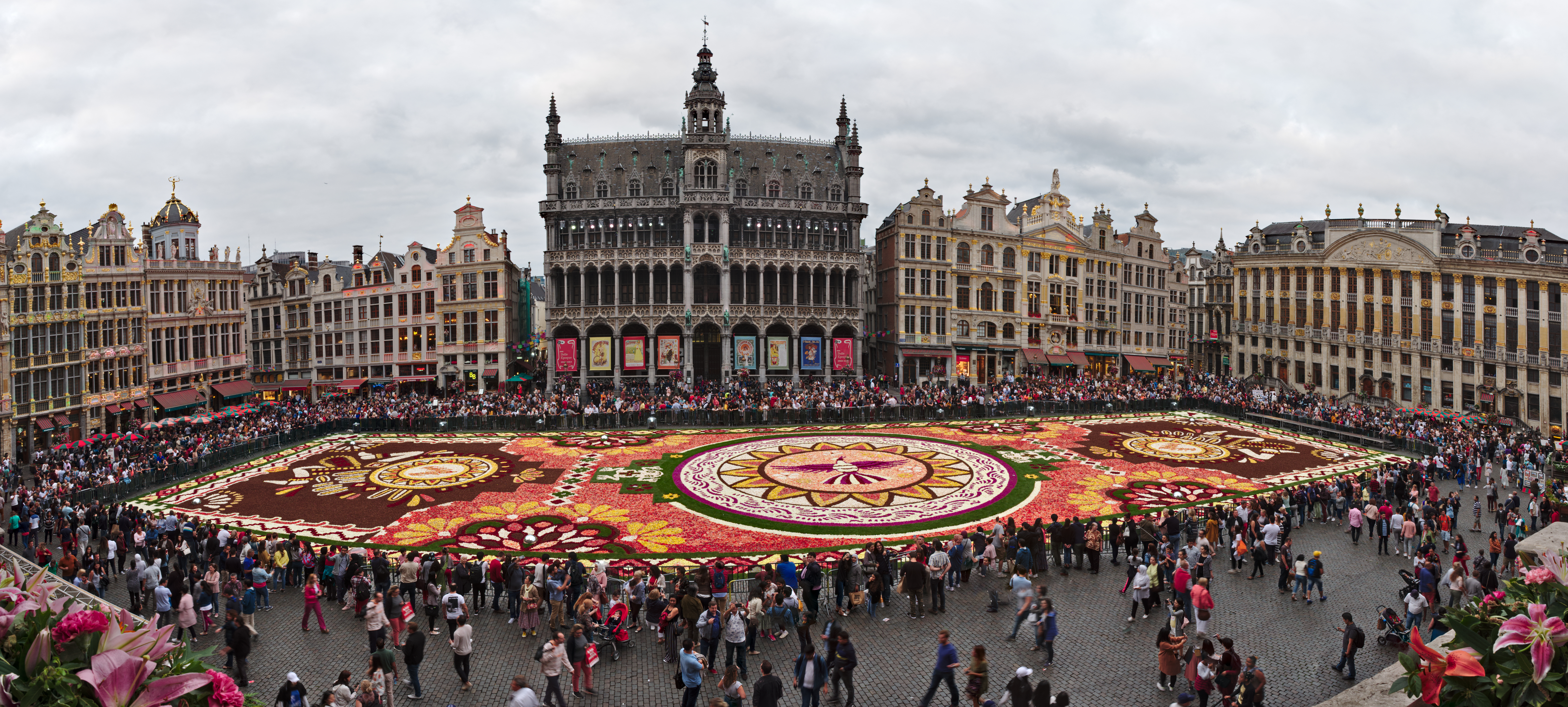 Flower Carpet